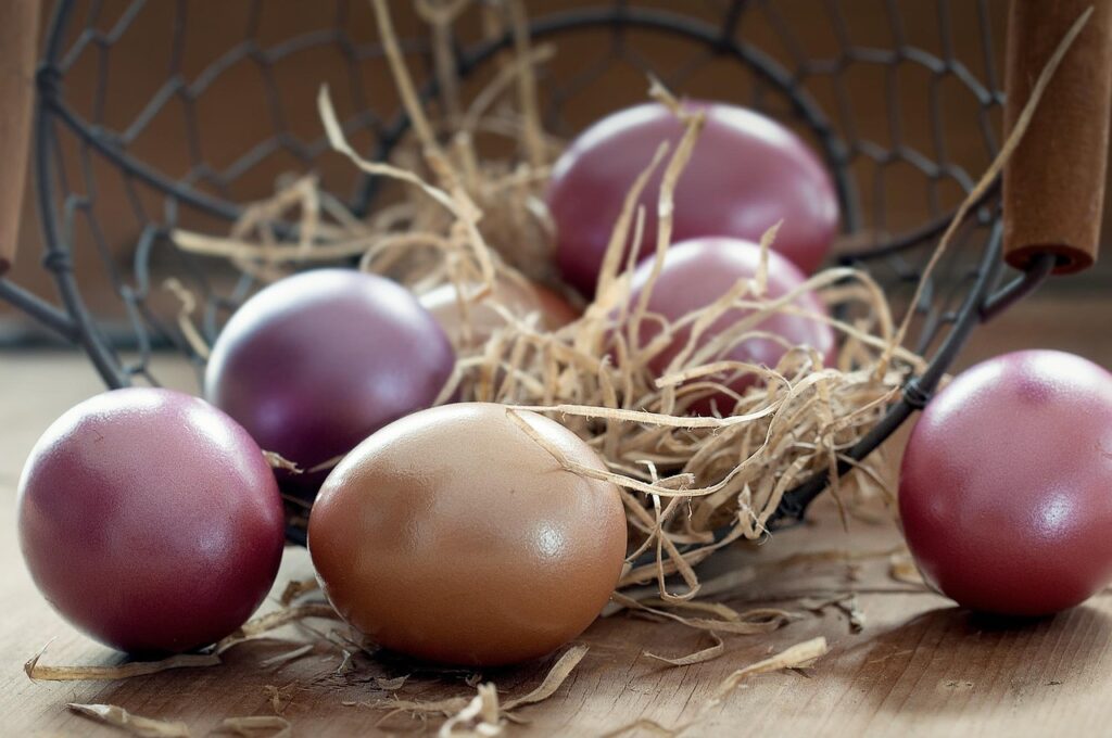 eggs lying on floor