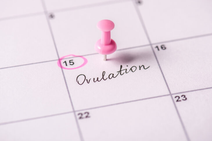 Calendar page marking ovulation on the 15th with a pink pushpin and circled date.