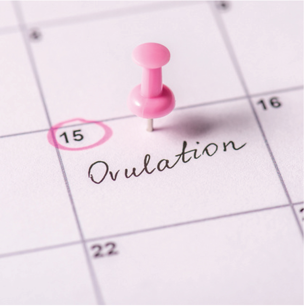ov | LA IVF Clinic